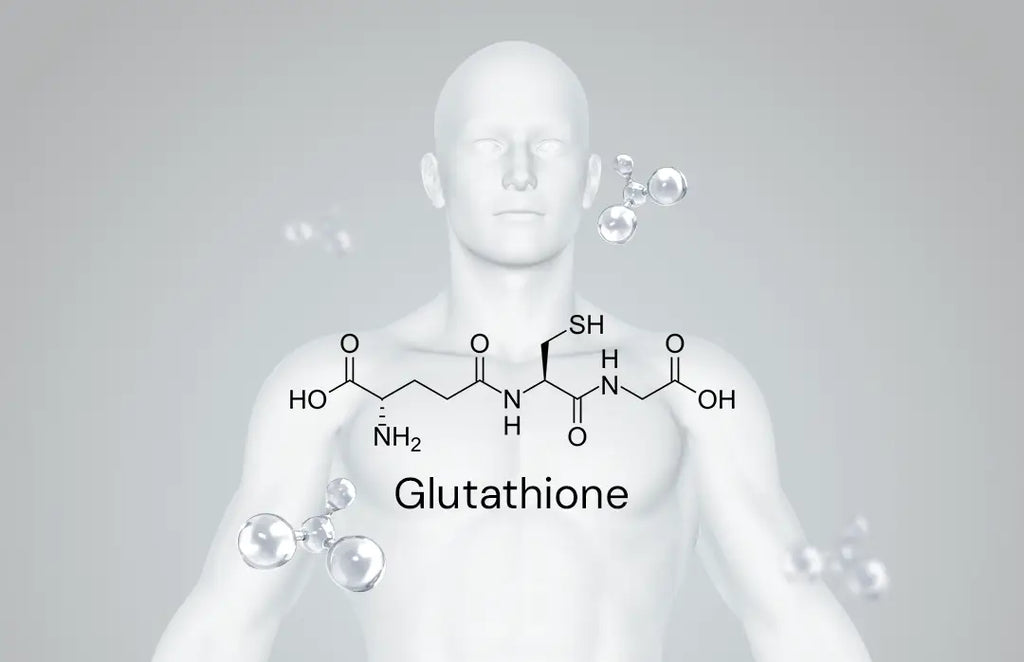 is glutathione the master antioxidant Amazon.com: 2400MG Liposomal Glutathione, with Vitamin C, Milk Thistle &  Alpha-Lipoic Acid, Master Antioxidants, Pure Reduced L-Glutathione main image 0