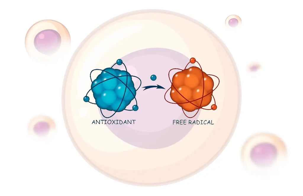 how do you pronounce glutathione How To Say Glutathione