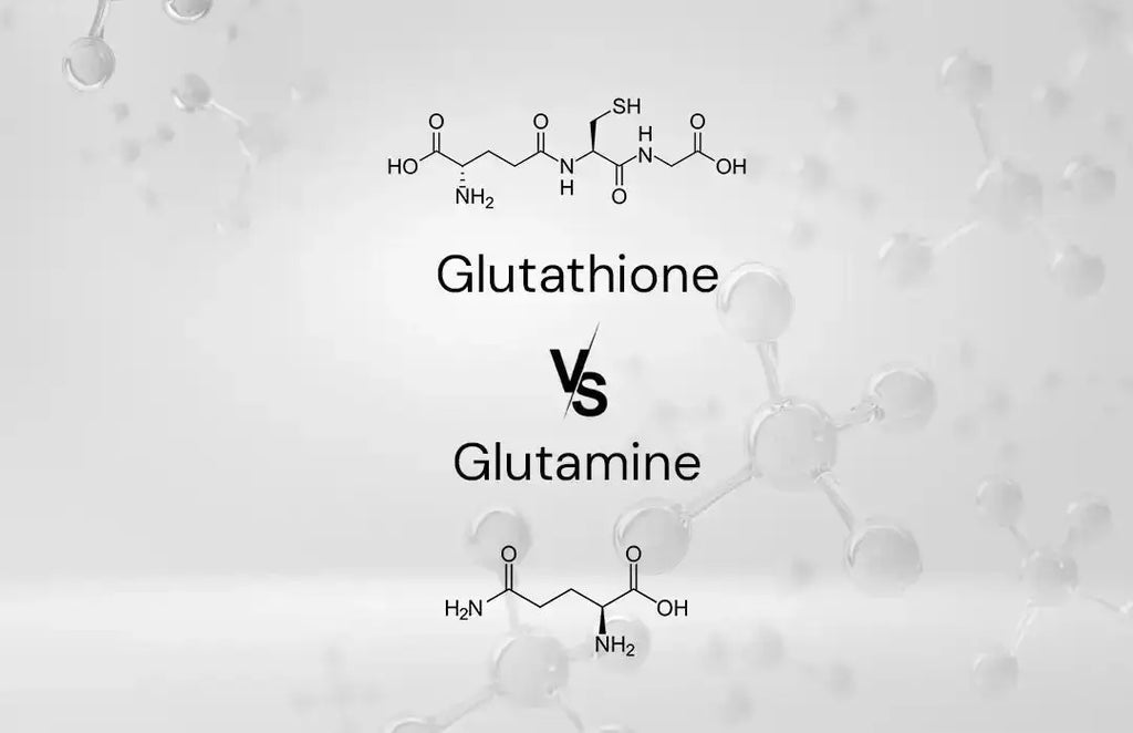 glutathione vs zimax Glutamine B12 Injections In Orlando كريم نومبوزين بفيتامين سي Size:4 Oz
