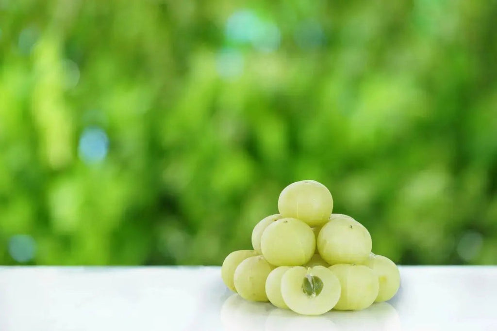 Potential Use of Amla (Phyllanthus Emblica) Fruit Extract for Healthy Skin