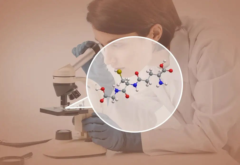 liposomal glutathione vs regular glutathione absorption bioavailability The Discovery of the Master antioxidant Glutathione